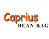 Caprius Bean Bag - Mega Discount Sale